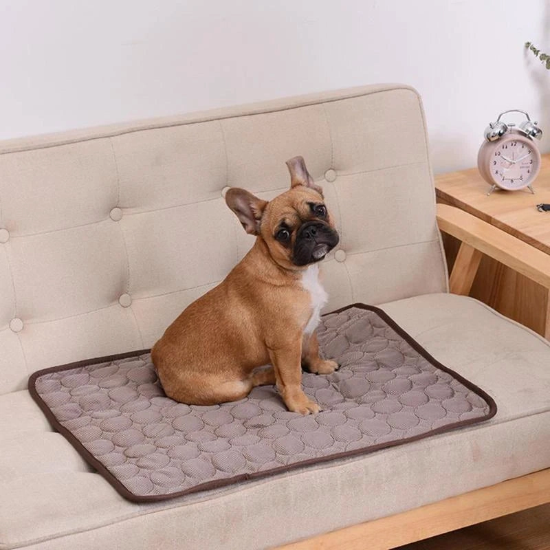 Dog Cooling Mat Extra Large Summer Pet Cold Bed for Small Big Dogs Cat Durable Blanket Sofa Cat Ice Pad Blanket Pet Accessories