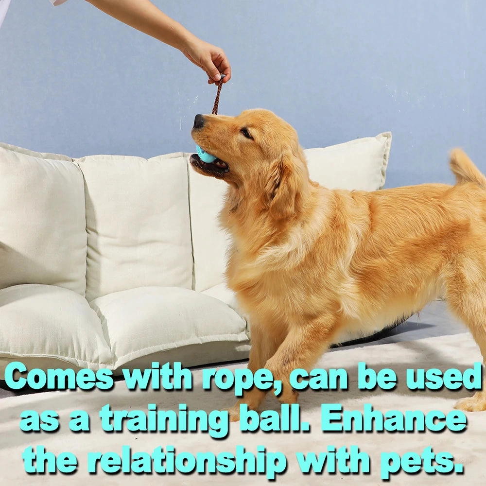 Dog Interactive Rubber Toys For Large Small Dogs Cats Chew Teeth Cleaning Golden Labrador Retriever Training Pet Accessories