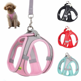 Harness Leash Set for Small Dogs