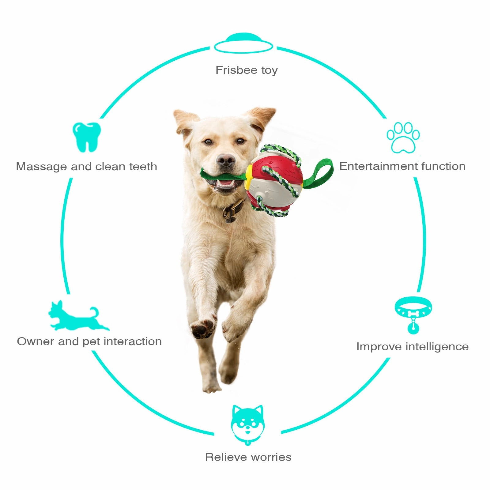 Interactive Dog Toy